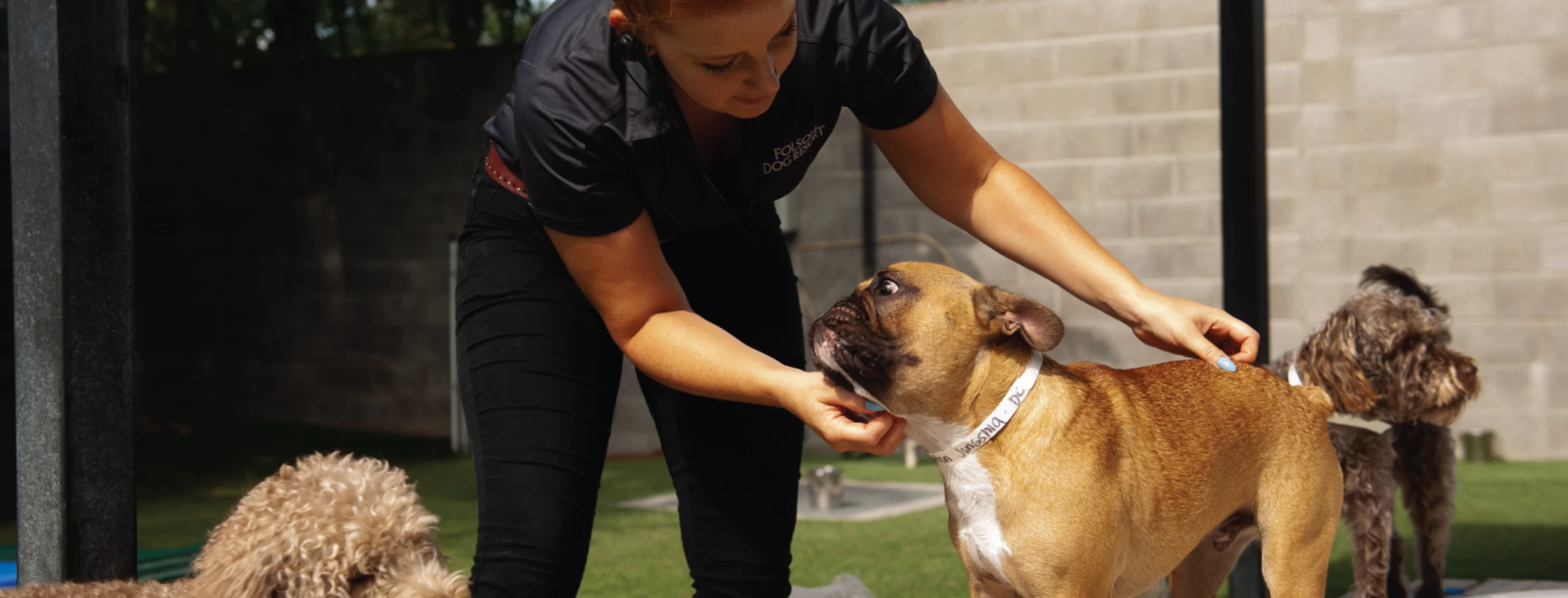 Folsom Dog Resort & Training Center Dog and Staff